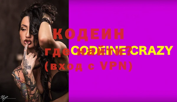 ГАЛЛЮЦИНОГЕННЫЕ ГРИБЫ Лагань